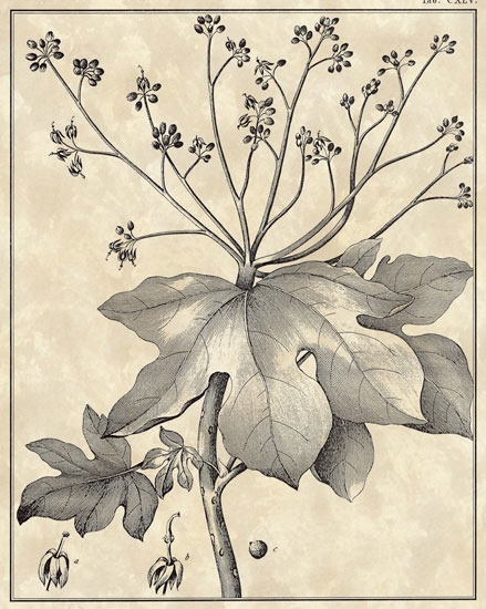 Compatible Floral for JAHRRIESNGE flowers-lpf06799 Compatible Floral JAHRRIESNGE for flowers-lpf06799