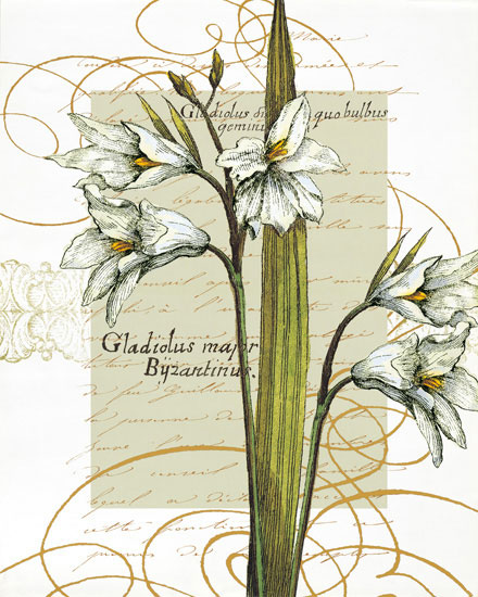 Compatible Floral for JAHRRIESNGE flowers-lpf06821 Compatible Floral JAHRRIESNGE for flowers-lpf06821