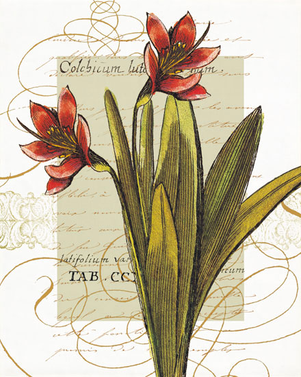 Compatible Floral for JAHRRIESNGE flowers-lpf06822 Compatible Floral JAHRRIESNGE for flowers-lpf06822