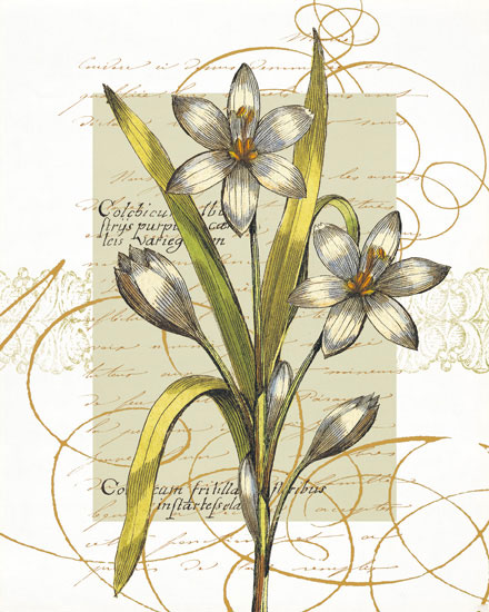 Compatible Floral Jahrriesnge  for flowers-lpf06823 