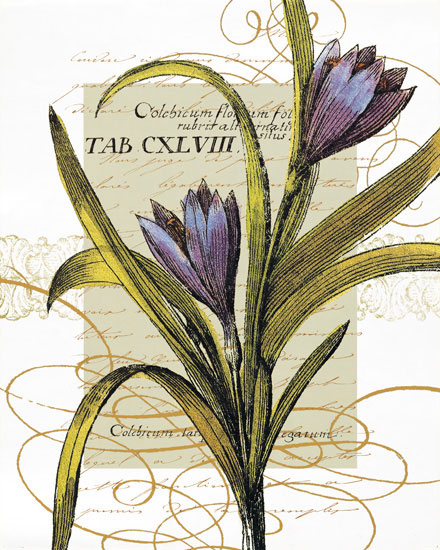 Compatible Floral for JAHRRIESNGE flowers-lpf06824 Compatible Floral JAHRRIESNGE for flowers-lpf06824