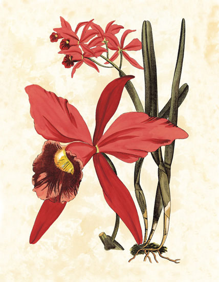 Compatible Floral for JAHRRIESNGE flowers-lpf06830 Compatible Floral JAHRRIESNGE for flowers-lpf06830