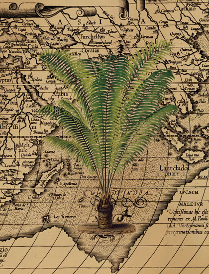 Compatible Floral for JAHRRIESNGE grass-lpf06842 Compatible Floral JAHRRIESNGE for grass-lpf06842