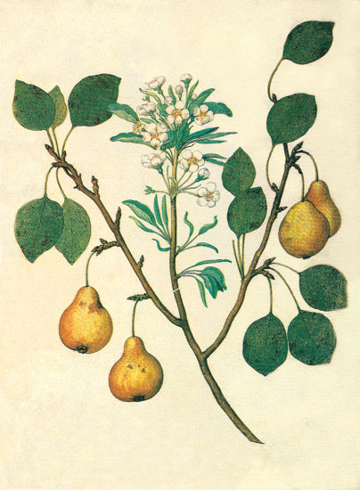 Compatible Floral for JAHRRIESNGE flowers-lpf06847 Compatible Floral JAHRRIESNGE for flowers-lpf06847