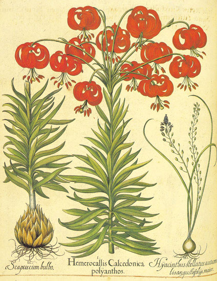 Compatible Floral for JAHRRIESNGE flowers-lpf06863 Compatible Floral JAHRRIESNGE for flowers-lpf06863