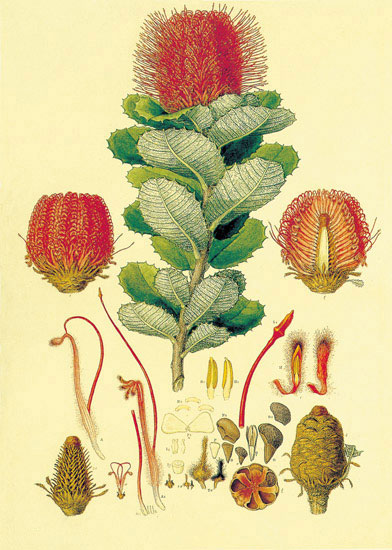 Compatible Floral for JAHRRIESNGE flowers-lpf06869 Compatible Floral JAHRRIESNGE for flowers-lpf06869