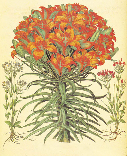 Compatible Floral for JAHRRIESNGE flowers-lpf06871 Compatible Floral JAHRRIESNGE for flowers-lpf06871