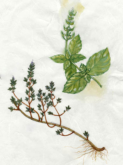 Compatible Floral for JAHRRIESNGE flowers-lpf06912 Compatible Floral JAHRRIESNGE for flowers-lpf06912