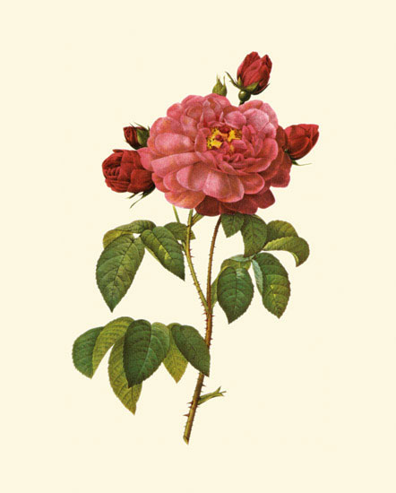 Compatible Floral for JAHRRIESNGE flowers-lpf06960 Compatible Floral JAHRRIESNGE for flowers-lpf06960