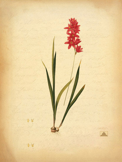 Compatible Floral for JAHRRIESNGE flowers-lpf06966 Compatible Floral JAHRRIESNGE for flowers-lpf06966