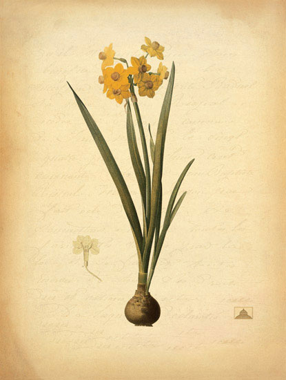 Compatible Floral for JAHRRIESNGE flowers-lpf06967 Compatible Floral JAHRRIESNGE for flowers-lpf06967