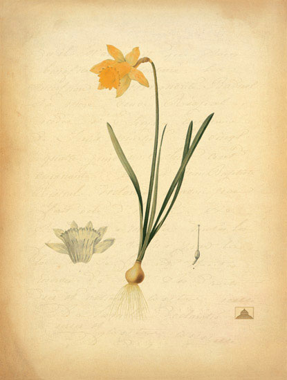 Compatible Floral for JAHRRIESNGE flowers-lpf06969 Compatible Floral JAHRRIESNGE for flowers-lpf06969