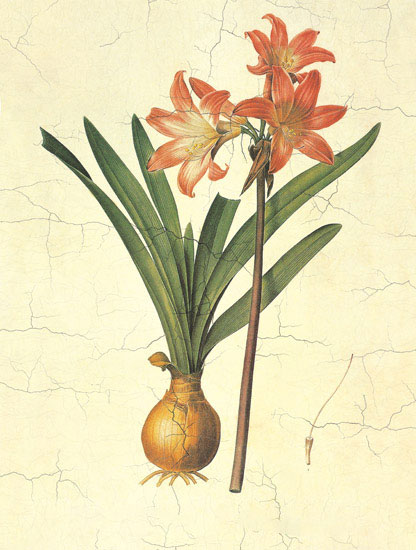 Compatible Floral for JAHRRIESNGE flowers-lpf06974 Compatible Floral JAHRRIESNGE for flowers-lpf06974