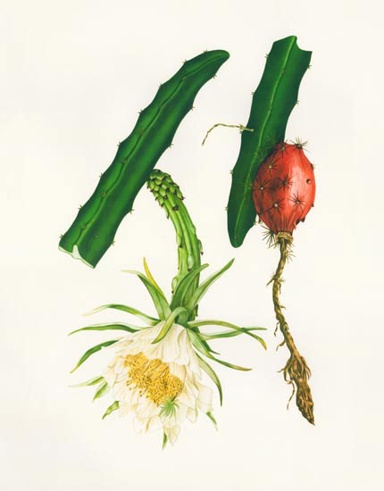 Compatible Floral for JAHRRIESNGE flowers-lpf06989 Compatible Floral JAHRRIESNGE for flowers-lpf06989