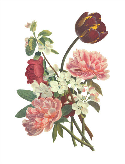 Compatible Floral for JAHRRIESNGE flowers-lpf06999 Compatible Floral JAHRRIESNGE for flowers-lpf06999