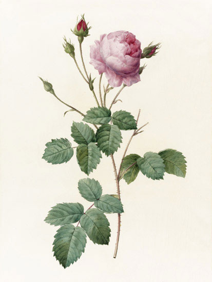 Compatible Floral for JAHRRIESNGE flowers-lpf07017 Compatible Floral JAHRRIESNGE for flowers-lpf07017