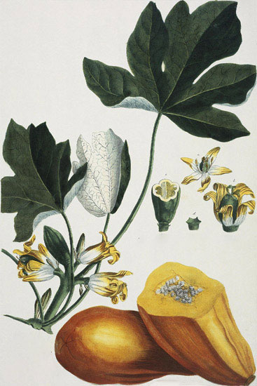 Compatible Floral for JAHRRIESNGE flowers-lpf07037 Compatible Floral JAHRRIESNGE for flowers-lpf07037