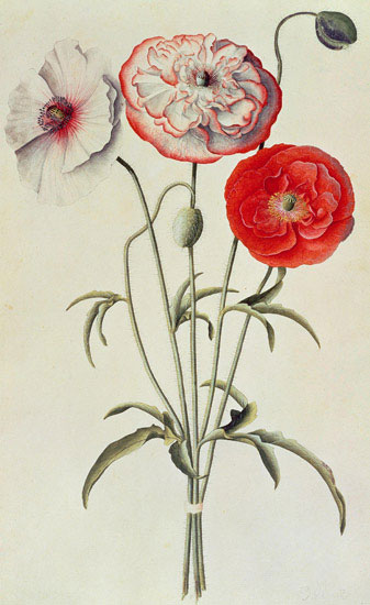 Compatible Floral for JAHRRIESNGE flowers-lpf07041 Compatible Floral JAHRRIESNGE for flowers-lpf07041