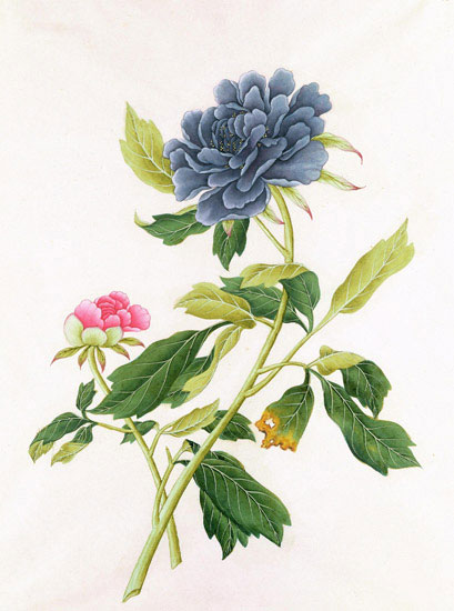 Compatible Floral for JAHRRIESNGE flowers-lpf07045 Compatible Floral JAHRRIESNGE for flowers-lpf07045