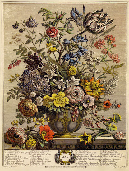 Compatible Floral for JAHRRIESNGE flowers-lpf07092 Compatible Floral JAHRRIESNGE for flowers-lpf07092