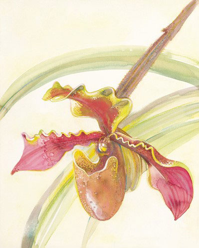 Compatible Floral for JAHRRIESNGE flowers-lpf07174 Compatible Floral JAHRRIESNGE for flowers-lpf07174