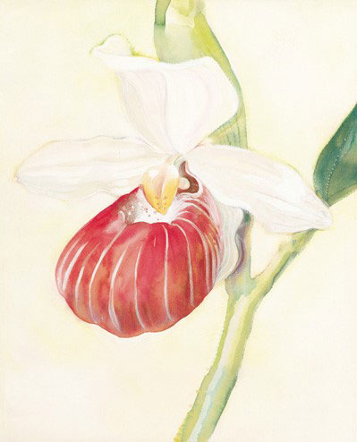 Compatible Floral for JAHRRIESNGE flowers-lpf07175 Compatible Floral JAHRRIESNGE for flowers-lpf07175