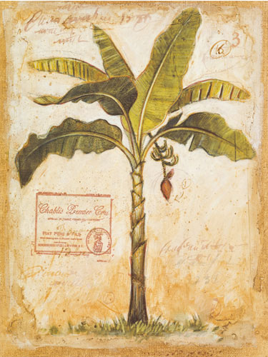 Compatible Floral for JAHRRIESNGE flowers-lpf07195 Compatible Floral JAHRRIESNGE for flowers-lpf07195