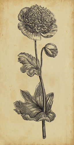 Compatible Floral for JAHRRIESNGE flowers-lpf07201 Compatible Floral JAHRRIESNGE for flowers-lpf07201