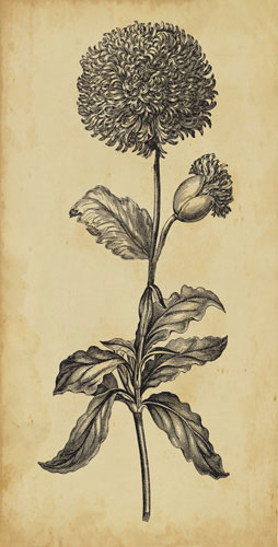 Compatible Floral for JAHRRIESNGE flowers-lpf07202 Compatible Floral JAHRRIESNGE for flowers-lpf07202