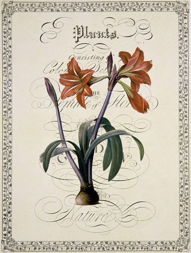 Compatible Floral for JAHRRIESNGE flowers-lpf07222 Compatible Floral JAHRRIESNGE for flowers-lpf07222