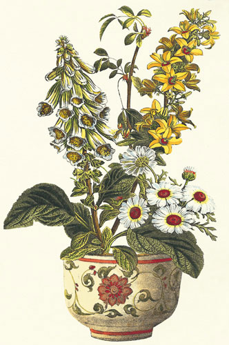 Compatible Floral for JAHRRIESNGE flowers-lpf07236 Compatible Floral JAHRRIESNGE for flowers-lpf07236