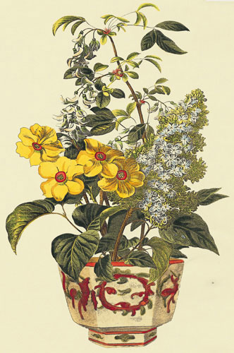 Compatible Floral for JAHRRIESNGE flowers-lpf07237 Compatible Floral JAHRRIESNGE for flowers-lpf07237