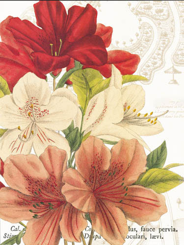 Compatible Floral for JAHRRIESNGE flowers-lpf07280 Compatible Floral JAHRRIESNGE for flowers-lpf07280