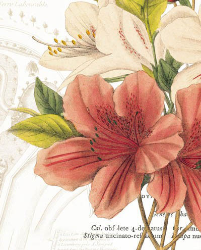 Compatible Floral for JAHRRIESNGE flowers-lpf07281 Compatible Floral JAHRRIESNGE for flowers-lpf07281