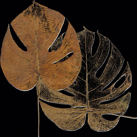 Compatible Floral for JAHRRIESNGE leaf-lpf07350 Compatible Floral JAHRRIESNGE for leaf-lpf07350