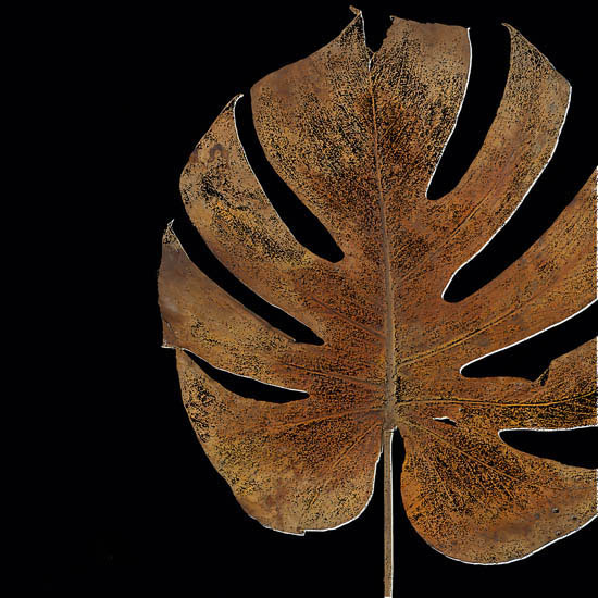 Compatible Floral for JAHRRIESNGE leaf-lpf07351 Compatible Floral JAHRRIESNGE for leaf-lpf07351