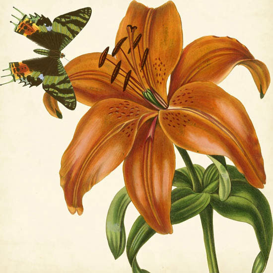 Compatible Floral for JAHRRIESNGE flowers-lpf07415 Compatible Floral JAHRRIESNGE for flowers-lpf07415