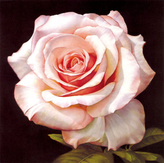 Compatible Floral for JAHRRIESNGE flowers-lpf07538 Compatible Floral JAHRRIESNGE for flowers-lpf07538