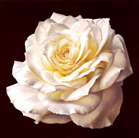 Compatible Floral for JAHRRIESNGE flowers-lpf07541 Compatible Floral JAHRRIESNGE for flowers-lpf07541