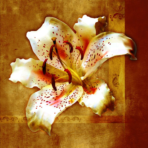 Compatible Floral for JAHRRIESNGE flowers-lpf07548 Compatible Floral JAHRRIESNGE for flowers-lpf07548