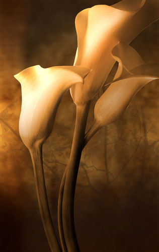 Compatible Floral for JAHRRIESNGE flowers-lpf07591 Compatible Floral JAHRRIESNGE for flowers-lpf07591