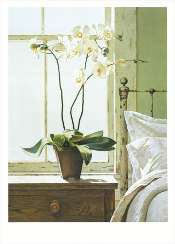 Compatible Floral for JAHRRIESNGE flowers-lpf07618 Compatible Floral JAHRRIESNGE for flowers-lpf07618