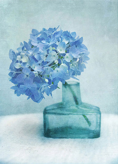 Compatible Floral for JAHRRIESNGE flowers lpf07935 Compatible Floral JAHRRIESNGE for flowers lpf07935