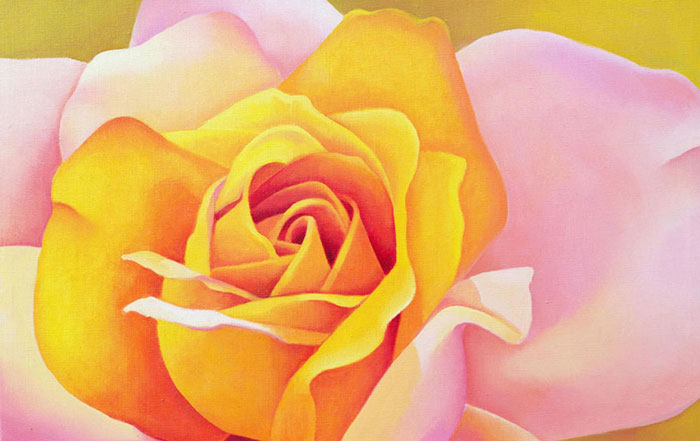 Compatible Floral Jahrriesnge  for flowers lpf07968 