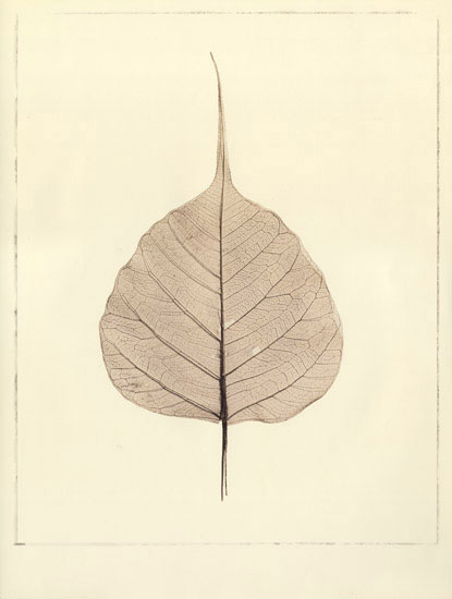 Compatible Floral for JAHRRIESNGE leaf lpf08079 Compatible Floral JAHRRIESNGE for leaf lpf08079