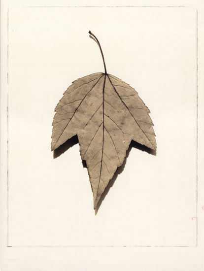 Compatible Floral for JAHRRIESNGE leaf lpf08081 Compatible Floral JAHRRIESNGE for leaf lpf08081