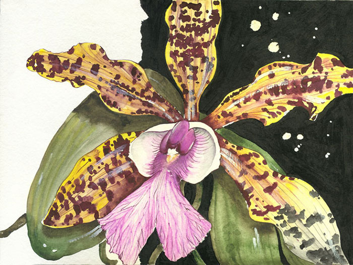 Compatible Floral for JAHRRIESNGE flowers lpf08145 Compatible Floral JAHRRIESNGE for flowers lpf08145