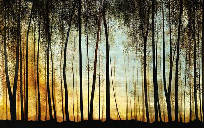 Compatible Landscape for JAHRRIESNGE trees lpf08310 Compatible Landscape JAHRRIESNGE for trees lpf08310