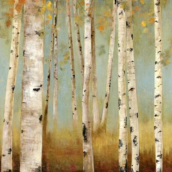 Compatible Landscape for JAHRRIESNGE trees lpf08331 Compatible Landscape JAHRRIESNGE for trees lpf08331