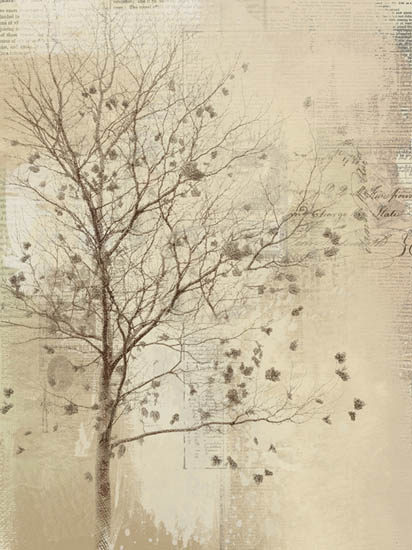 Compatible Landscape for JAHRRIESNGE trees lpf08369 Compatible Landscape JAHRRIESNGE for trees lpf08369